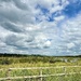 Wolds View