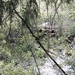 Wild Hidden Shoreline