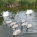 The Magnificent Seven
