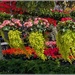 At the flower market 