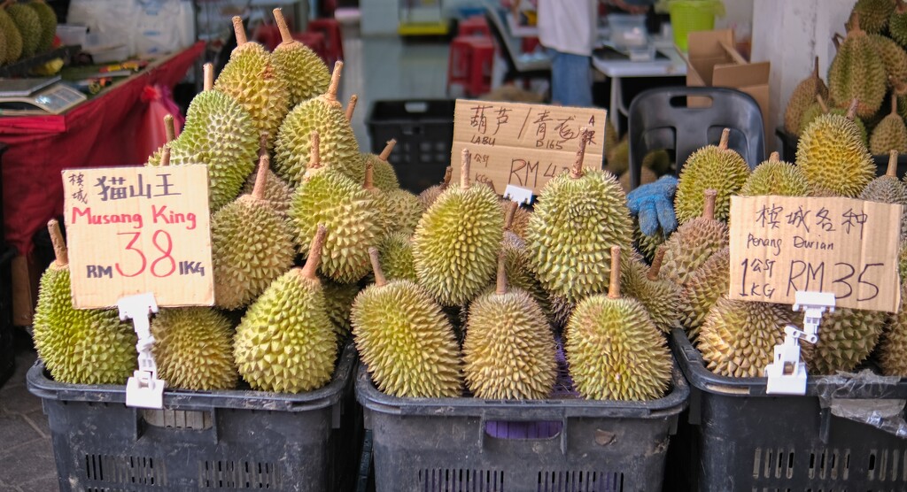 Various Durians  by ianjb21