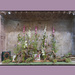 Secret Garden