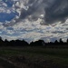Out for a run