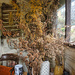 Inside the office at Hooton's Walled Nursery...