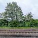 Railway greenery 