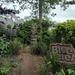 Blue Peter Garden