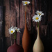 Tara Cotta Long Neck Vases