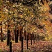 Red Hill Rail Trail