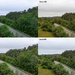 Canon vs Fuji colours
