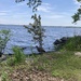 By the Bay