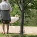 Taking a Stroll