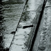 June Rain