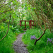Green Along the Burn
