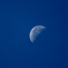 Blue Moon This Morning