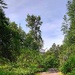 Panther Lake to the BPA Urban Trail