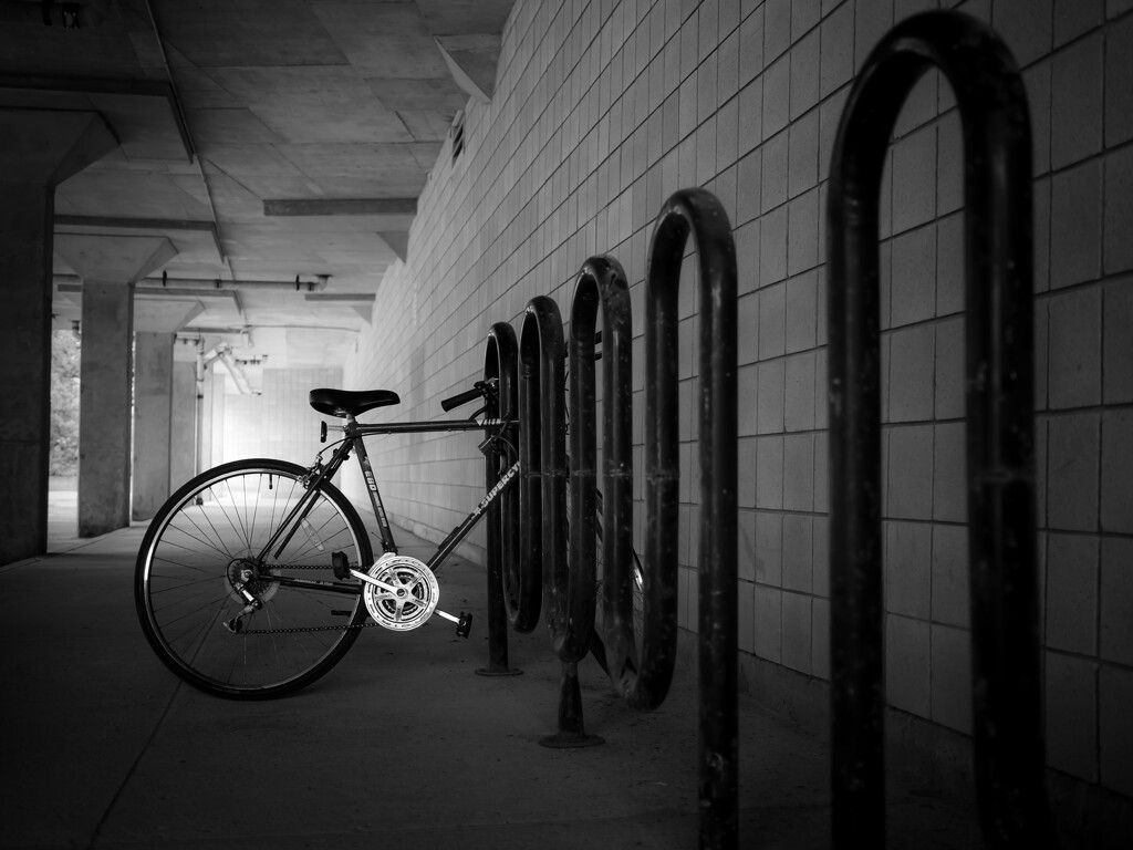 the bike by northy