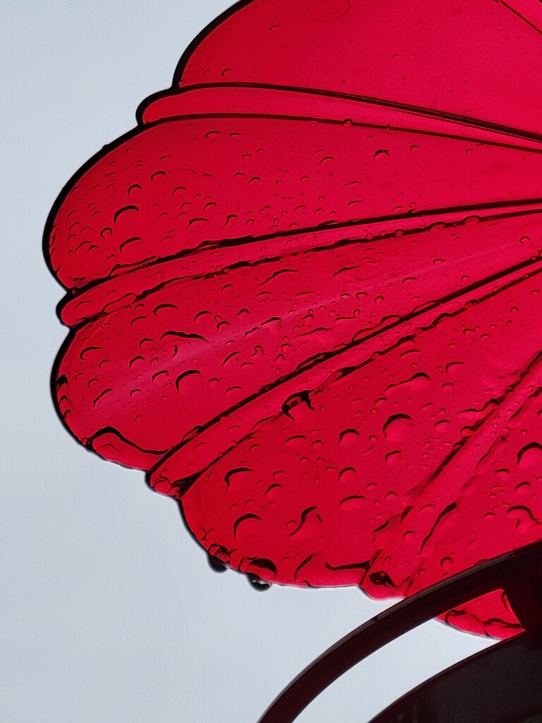 Protection from the Rain by kimmer50