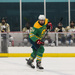Summer Hockey Season
