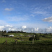 Clouds over the dairy
