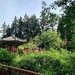 Pavilion at the end of Wild