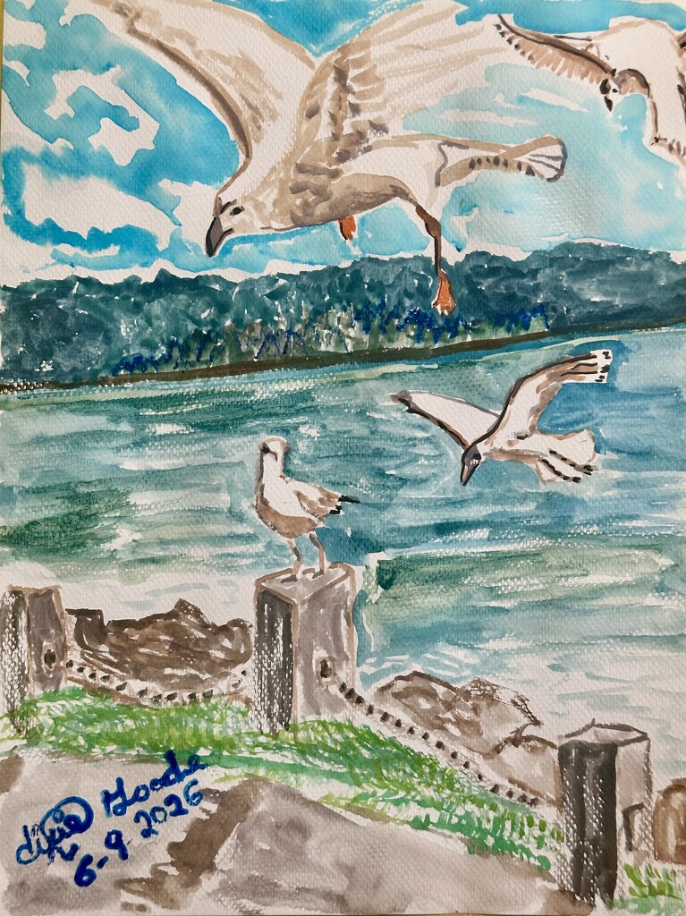 Feed the birds by pandorasecho