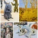 Art trail in the park 