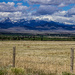 East Pioneer Mountains