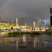 After the rain II
