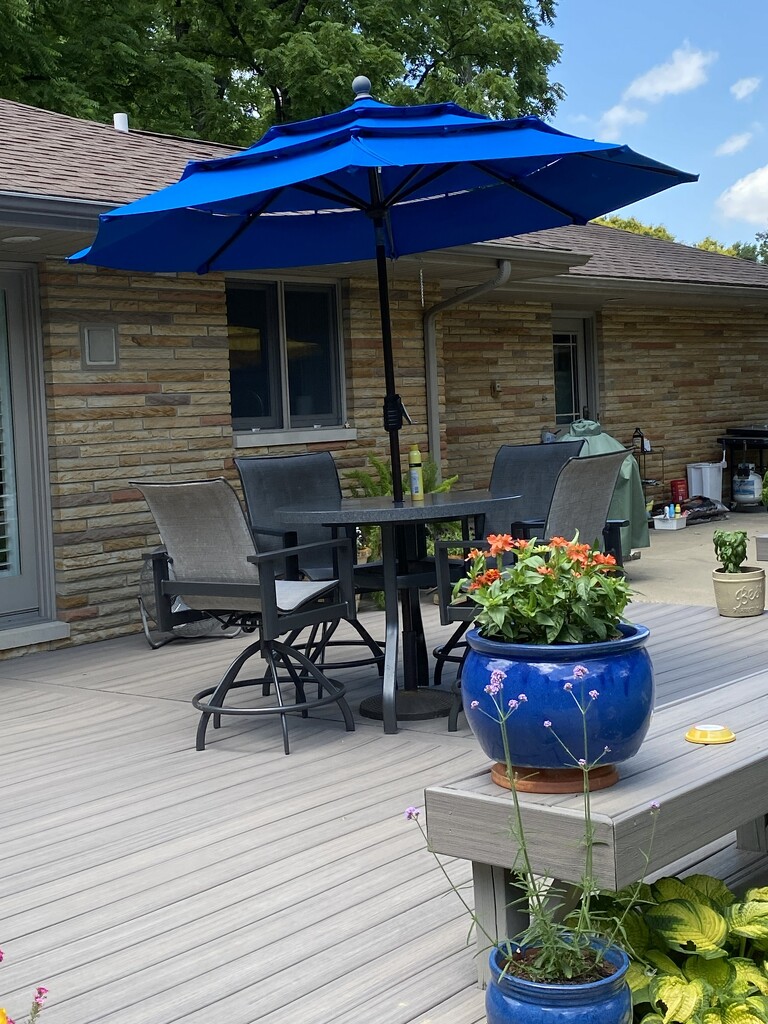 A friend's deck by tunia