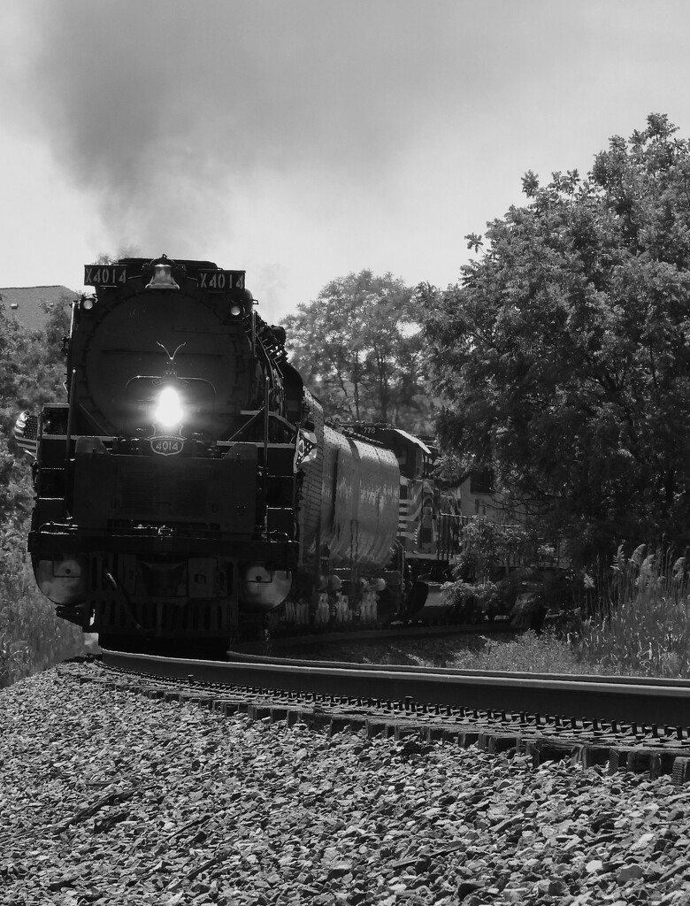 Union Pacific 4014 by brillomick