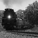 Union Pacific 4014