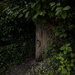 Secret Door