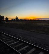 11th Jun 2026 - the morning view from the train-1