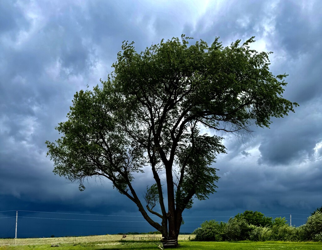 There’s a storm coming by illinilass