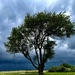 There’s a storm coming