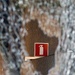 Fire Point