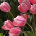 Pretty in Pink