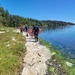 Invasive Crab Monitoring