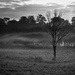 In Black - Moody Morning
