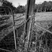 In Black - Rusty Post