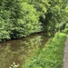 A Walk by the Canal