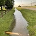 Ditch by our house, after an exciting early evening.