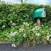Postbox