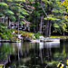 Lake reflections