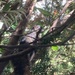 Sun,Shade and Squirrel 