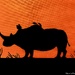 Rhinoceros in silhouette (acrylic painting)