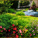 Flowers and Fountain