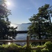 Salish Sea Glory