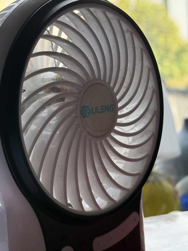 Fan by scotlinx