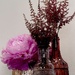 Still Rose 
